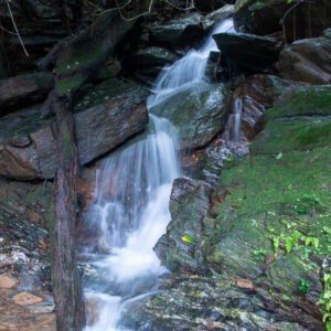 Road-side Stream_Konkan_India