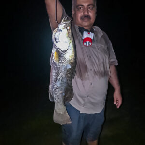 Sangram Dey - Fishing at Night - Karwar - Big Baramundi