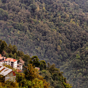 Settlement in Heaven_Sikkim_India