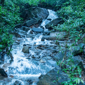 Wild Stream_Konkan_India